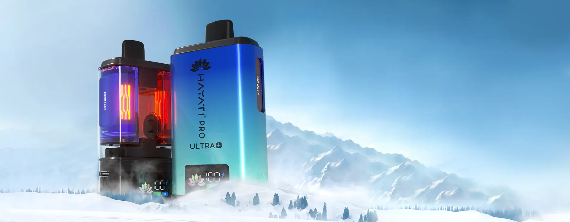 f2f392eb-58ef-4600-b8ad-2691cad9ec56.webp